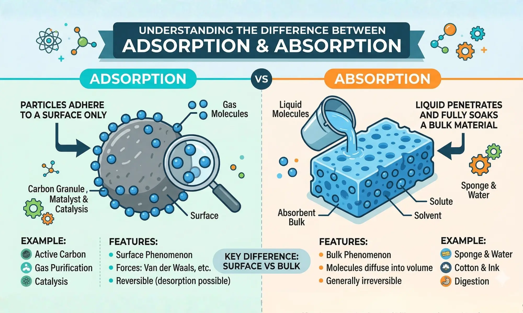 difference between adsorption and absorption